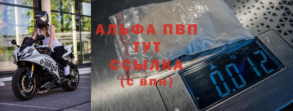 амф Новодвинск